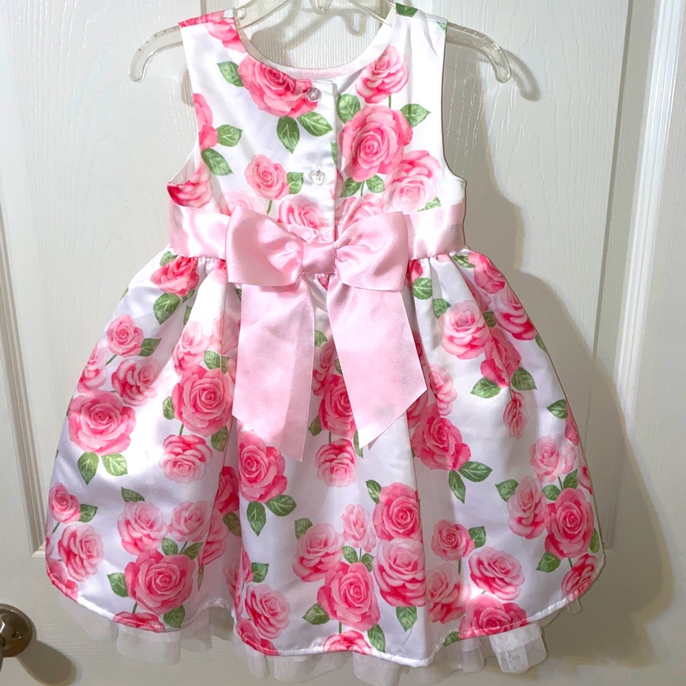Baby girl pink rose special occasions dress